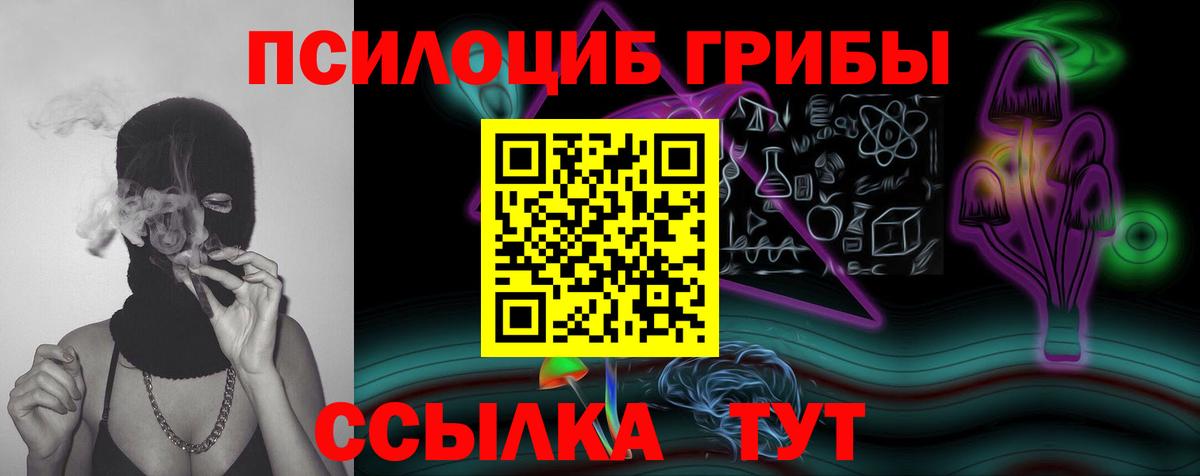Омск  Псилоцибиновые грибы Magic Shrooms  Вход с VPN  Псилоцибиновые грибы Psilocybine cubensis 